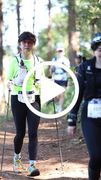 BIB:  <button type="button" onclick="openModal(26568966)" class="btn btn-primary btn-sm float-right" data-toggle="modal" data-target=".modal-high-quality">
                <i class="fa fa-download"></i> Download
                </button>